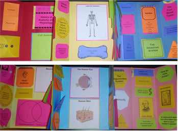 Apologia Exploring Creation w/ Human Anatomy & Physiology Lapbook Package (Lessons 1-14) - PRINTED