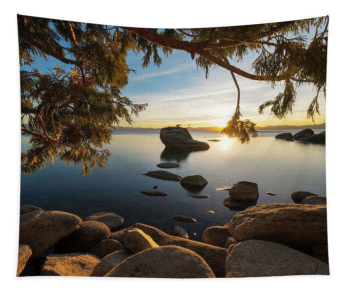 Bonsai Rock Sunburst - Tapestry