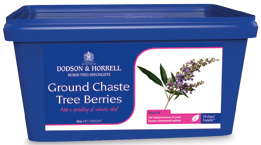 D&H Ground Chaste Tree Berries 2kg