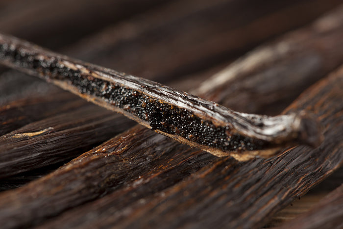 Madagascar Vanilla Beans - Premiere_Spices - Red Stick Spice Company