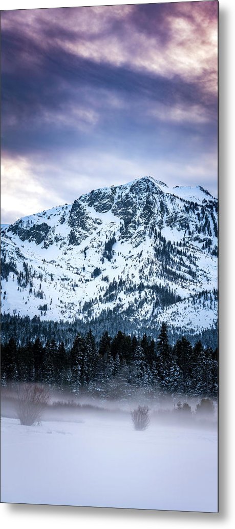 Mt Tallac Foggy Meadow - Metal Print by Brad Scott