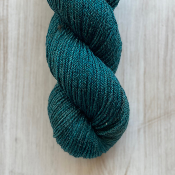 ROAN DK "Envy"