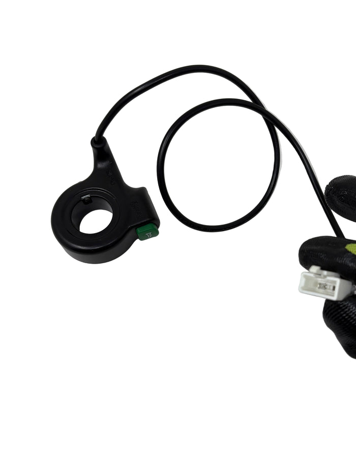 1300W E-Madix ATV | Horn Switch (306370001)