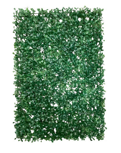 24''x16'' Boxwood Mat ( SGB617-108 )