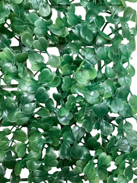 24''x16'' Boxwood Mat ( SGB617-108 )