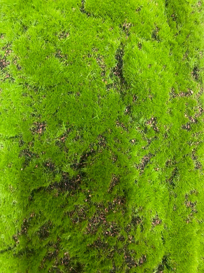 39''X38'' Moss Matt ( SGB426-232 )