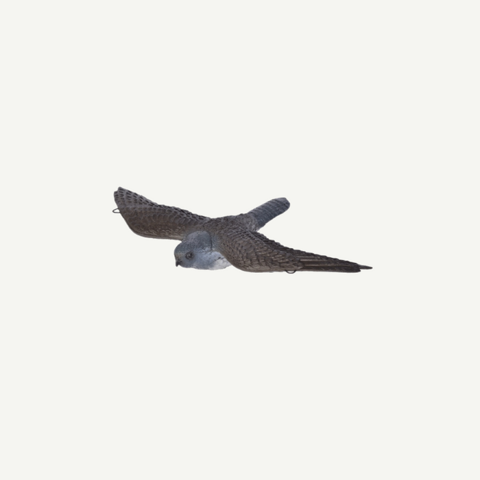 3D Tier Franzbogen Fliegender Falke