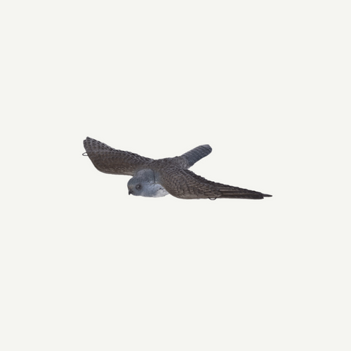 3D Tier Franzbogen Fliegender Falke