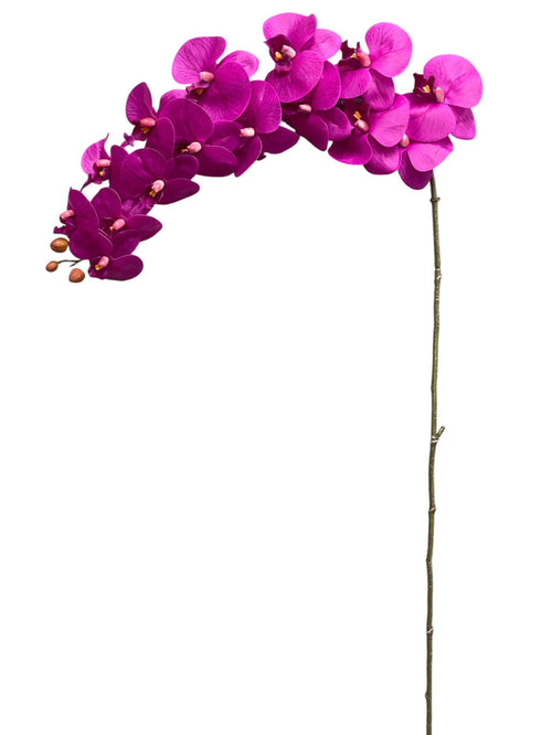 49.5'' Butterfly Orchid Stem (SFS021-4902-Lavender )