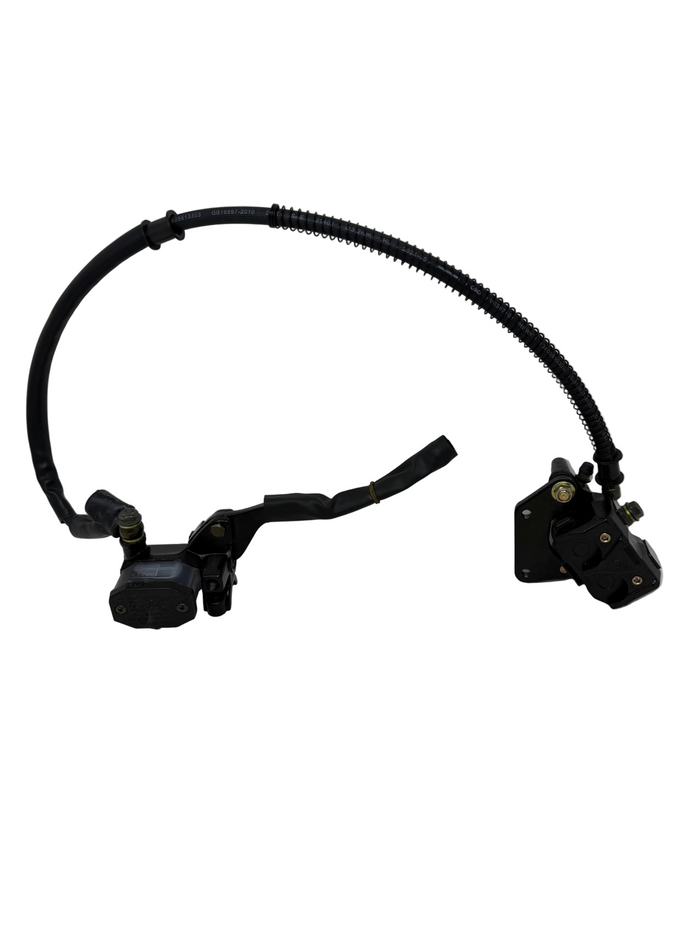 X19 200cc Automatic Motorcycle | Front Brake Assembly (4010132)