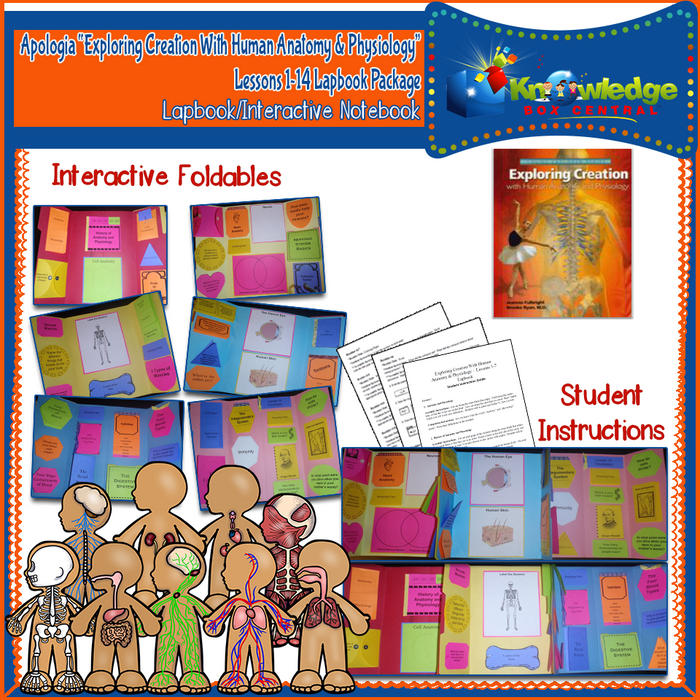 Apologia Exploring Creation with Human Anatomy & Physiology Lapbook Package (Lessons 1-14)
