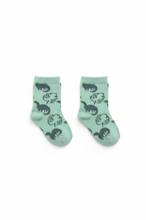 Baby Sneakers - Dino (PK12) (9-21M) SN176SG*