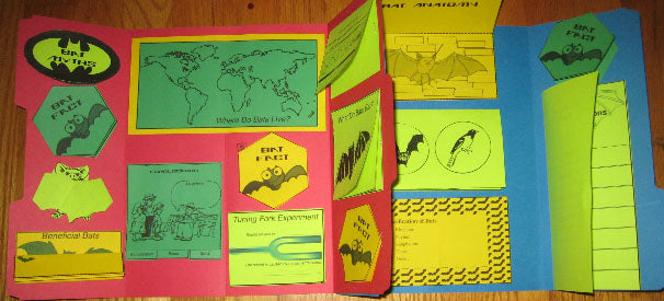 COMPLETED PHOTO Bats, Bats, Bats! Lapbook / Interactive Notebook