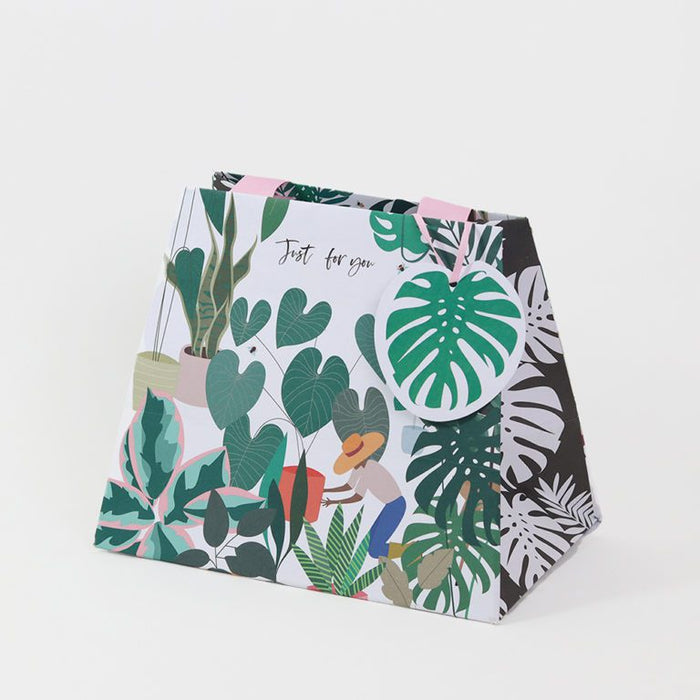 Belly Button Plants  Gift Bag - Plants