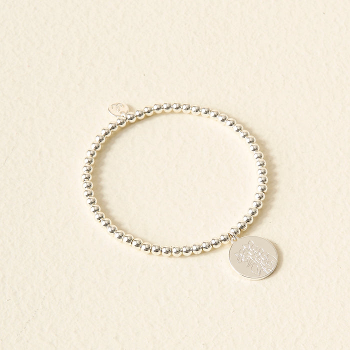 February / Silver