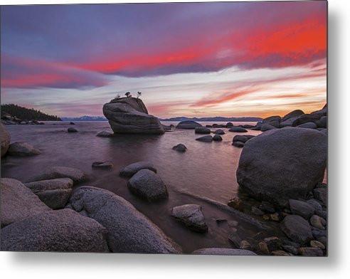 Bonsai Rock On Fire - Metal Print