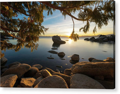 Bonsai Rock Sunburst - Acrylic Print by Brad Scott
