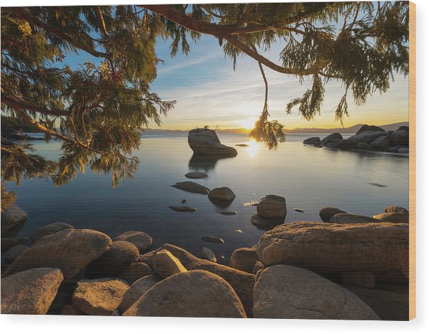 Bonsai Rock Sunburst - Wood Print by Brad Scott