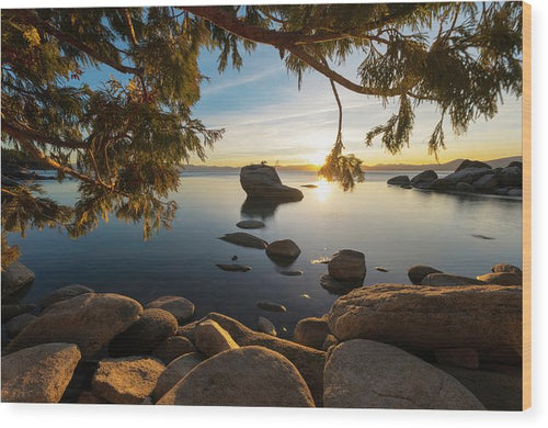 Bonsai Rock Sunburst - Wood Print by Brad Scott