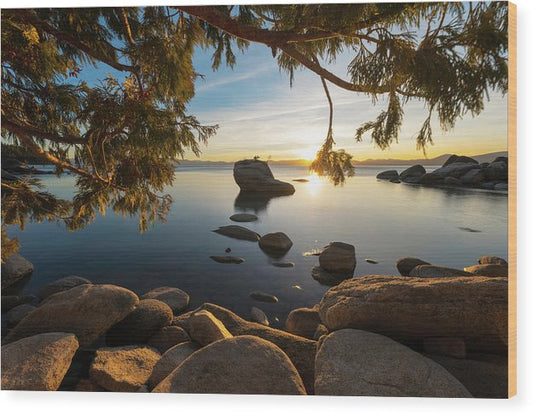 Bonsai Rock Sunburst - Wood Print by Brad Scott