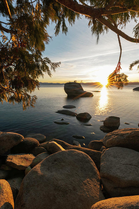 Bonsai Rock Sunburst Vertical - Art Print