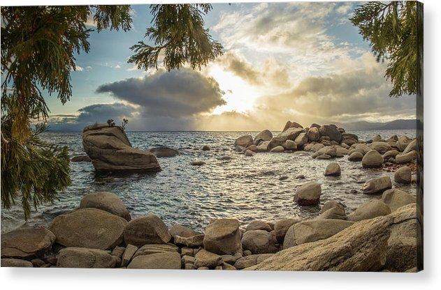 Bonsai Rock Through The Trees By Brad Scott - Acrylic Print