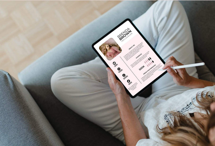 Ladystrategist Brenda Brown Media Kit Canva Template for Influencers instagram canva templates social media templates etsy free canva templates
