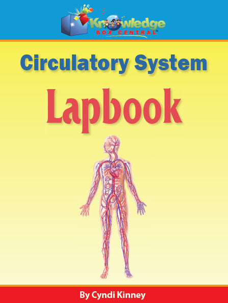Circulatory System Lapbook - PRINTED