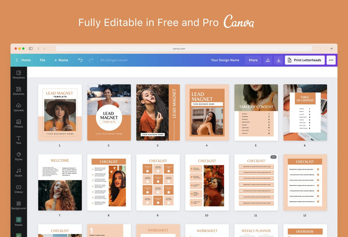 Ladystrategist Eleanor Lead Magnet Editable Canva Template instagram canva templates social media templates etsy free canva templates