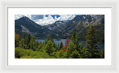 24.000" x 11.875" / White / White