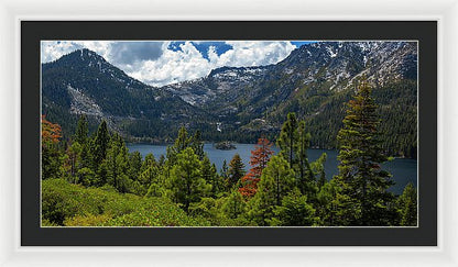 36.000" x 17.875" / White / Black