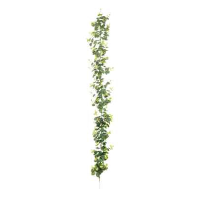 Eucalyptus Garland - 180cm