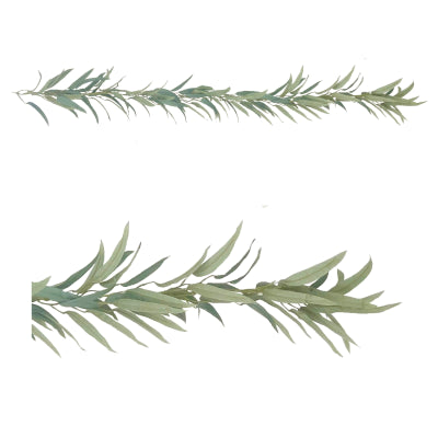Eucalyptus Gum Garland - 180cm