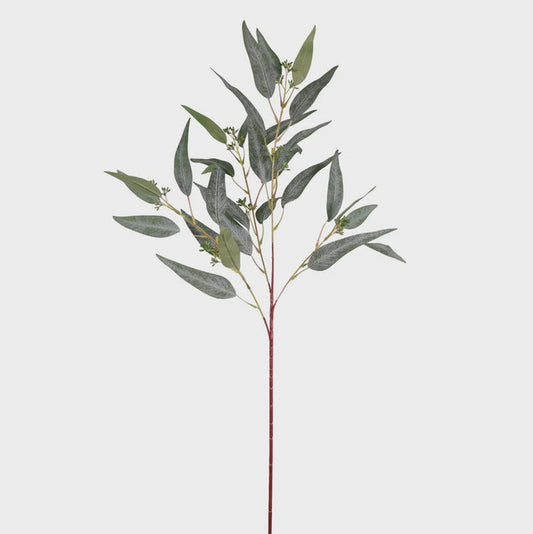 Eucalyptus Nicholii Spray