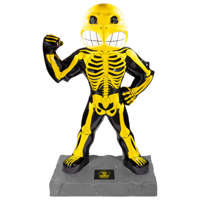 Herk's Anatomy