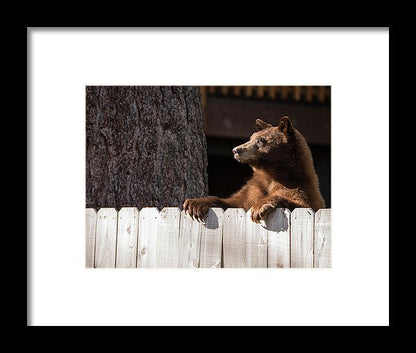 Hey There Neighbor By Brad Scott - Framed Print-Lake Tahoe Prints