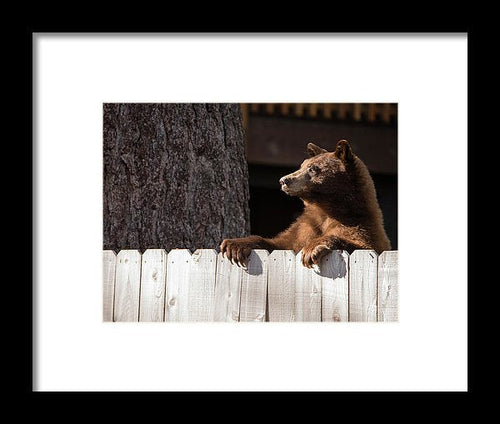 Hey There Neighbor By Brad Scott - Framed Print-Lake Tahoe Prints