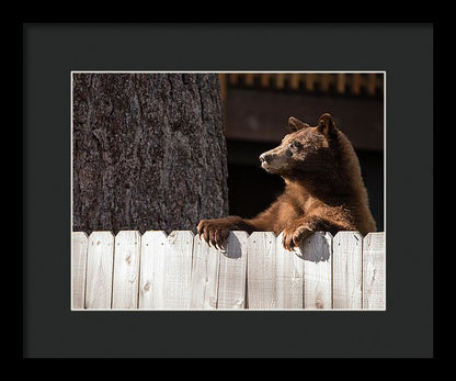 12.000" x 9.125" / Black / Black