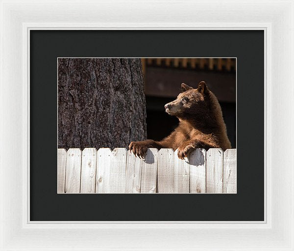 12.000" x 9.125" / White / Black