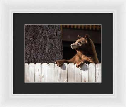 12.000" x 9.125" / White / Black