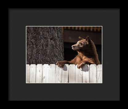 Hey There Neighbor By Brad Scott - Framed Print-Lake Tahoe Prints