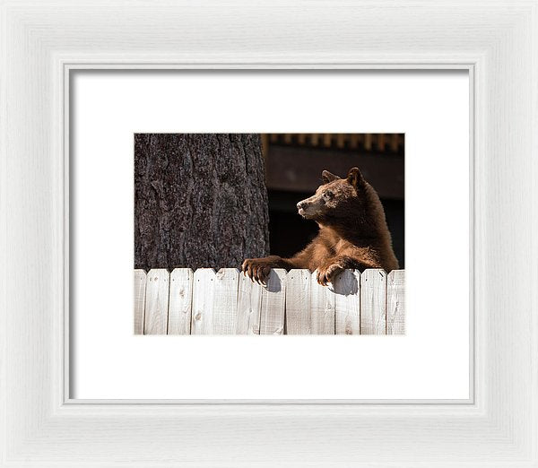 Hey There Neighbor By Brad Scott - Framed Print-Lake Tahoe Prints
