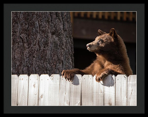 30.000" x 22.625" / Black / Black