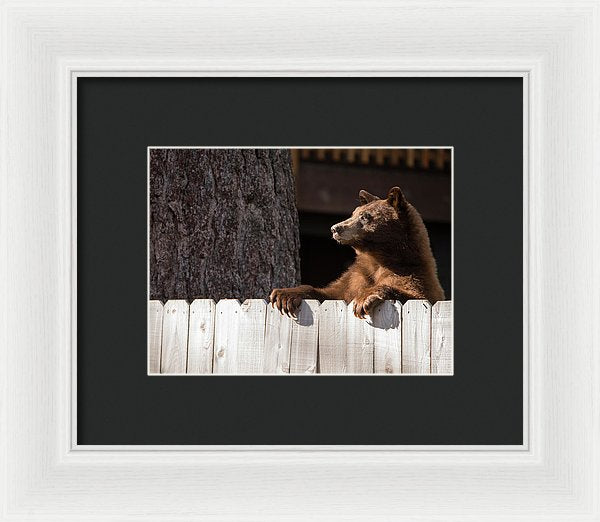 Hey There Neighbor By Brad Scott - Framed Print-Lake Tahoe Prints