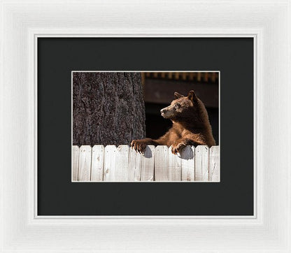 Hey There Neighbor By Brad Scott - Framed Print-Lake Tahoe Prints