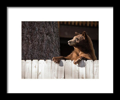 Hey There Neighbor By Brad Scott - Framed Print-Lake Tahoe Prints
