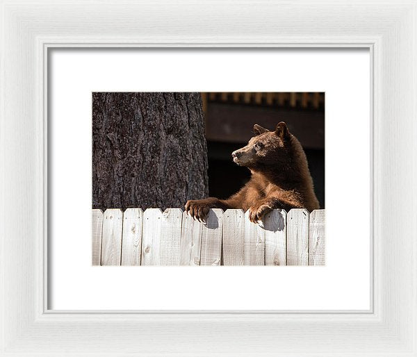 Hey There Neighbor By Brad Scott - Framed Print-Lake Tahoe Prints