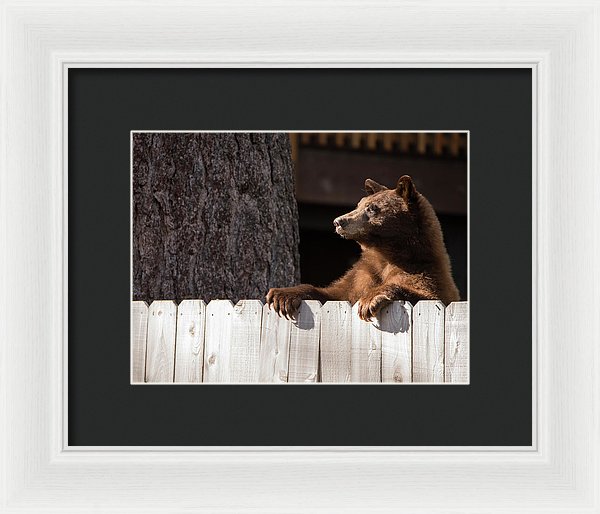 Hey There Neighbor By Brad Scott - Framed Print-Lake Tahoe Prints