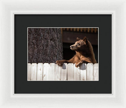 Hey There Neighbor By Brad Scott - Framed Print-Lake Tahoe Prints