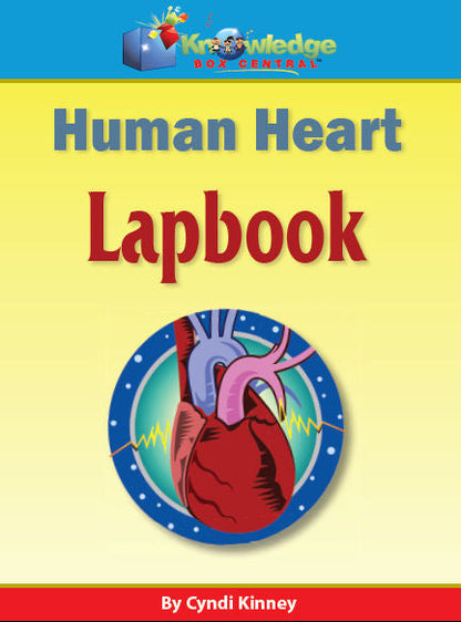 Human Heart Lapbook - PRINTED